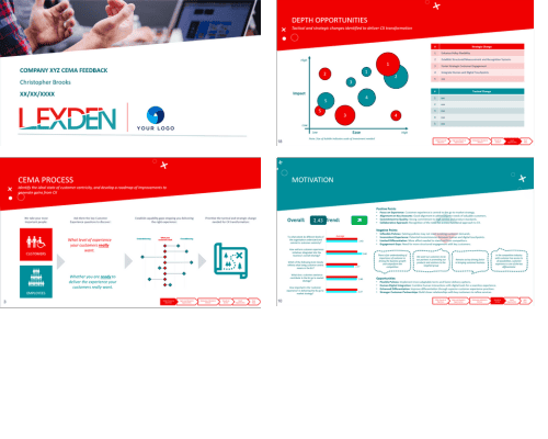 Customer Experience Maturity Assessment report